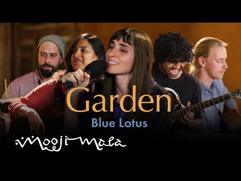 Video: Vai Blue Lotus ir drošs?