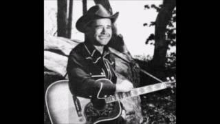 Video thumbnail of "Music In My Pony's Feet  ---  Buddy Williams"