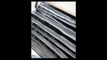 Birch Trees Acrylic Painting Tutorial: Step-by-Step Guide