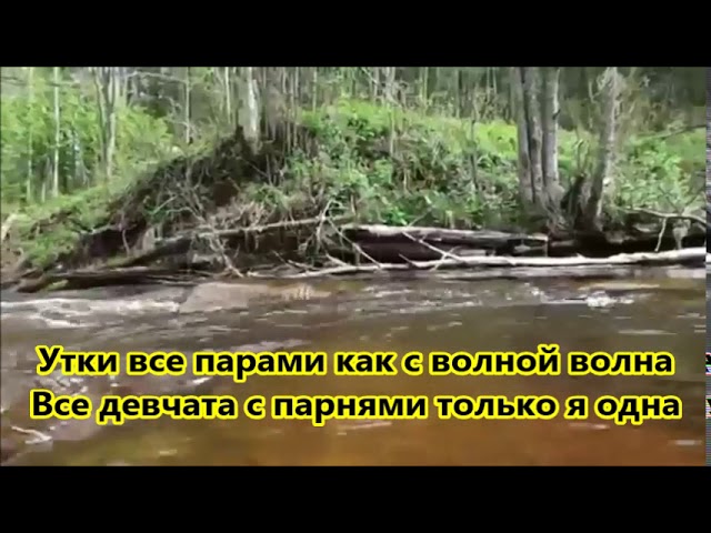 Предпросмотр