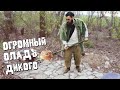 СЫТНЫЙ обед КРЕСТЬЯНИНА! огромные оладьи ДИКОГО