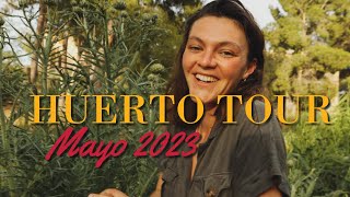 Mejor control NATURAL de plagas: EL EQUILIBRIO - Huerto Tour Mayo 2023