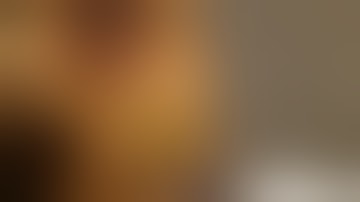 Rat Dissection: Digestive System