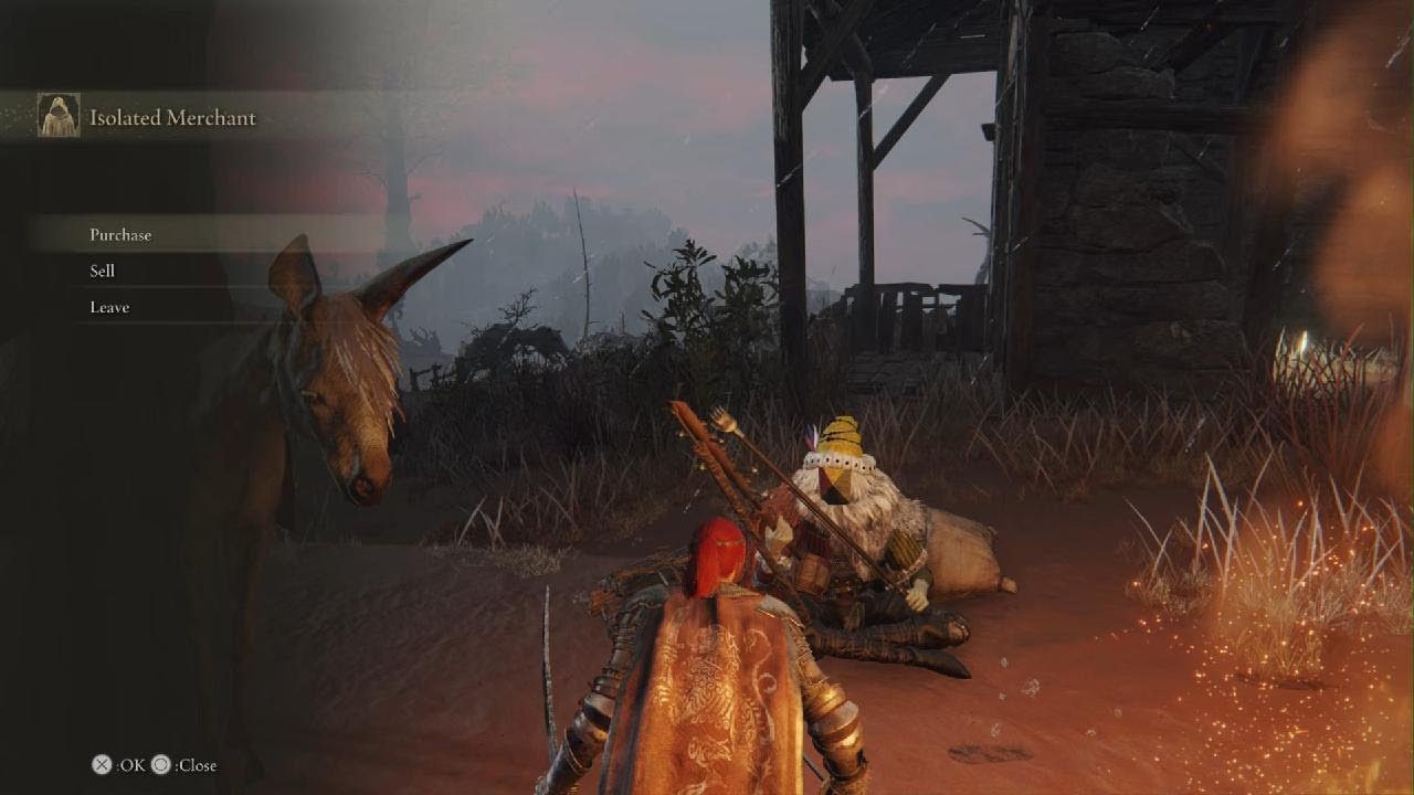 ELDEN RING Isolated Merchant in Caelid