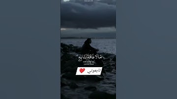 #القرآن الكريم راحة نفسيه 🍃اكتب شي تؤجر عليه 🤍