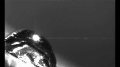 Caroline Earl: Capillary Stability