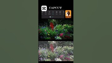 COLOUR GRADING TUTORIAL | CAPCUT EDITING TUTORIAL | #shorts #edit #tutorial #viral
