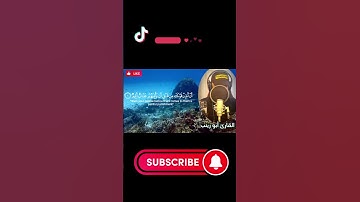 ما تيسر من سورة نوح (القارئ أبو زينب)