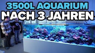 DESWEGEN kennt jeder dieses Aquarium!  3500 Liter Update nach 3 Jahren