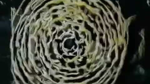 Into the labyrinth tv show intro 1981