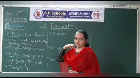 STD 2 CBSE | SCIENCE LEC 21 | S P SCHOOL SURENDRANAGAR