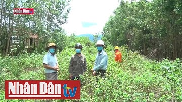 Vi phạm hành lang an toàn lưới điện tại Đắk Lắk