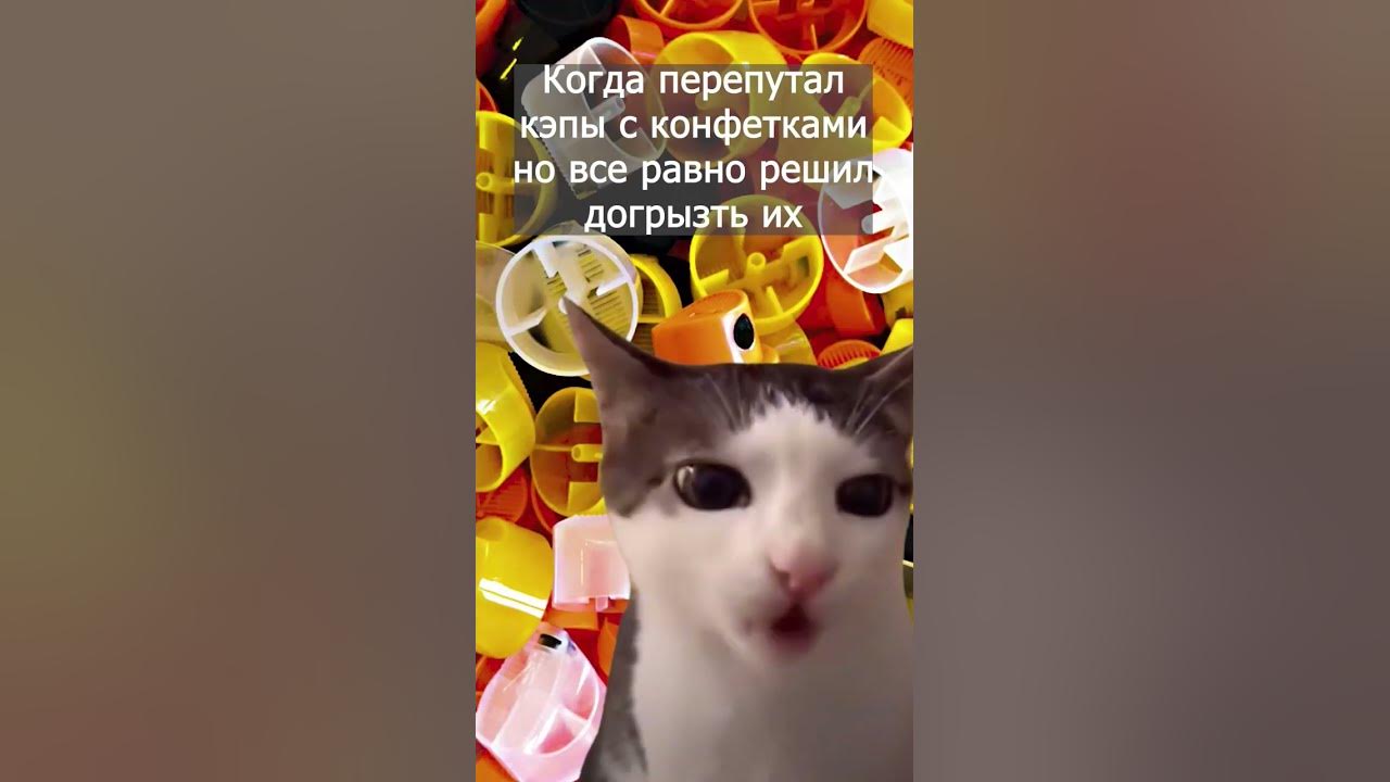 #memes #граффити #мем #кот - YouTube