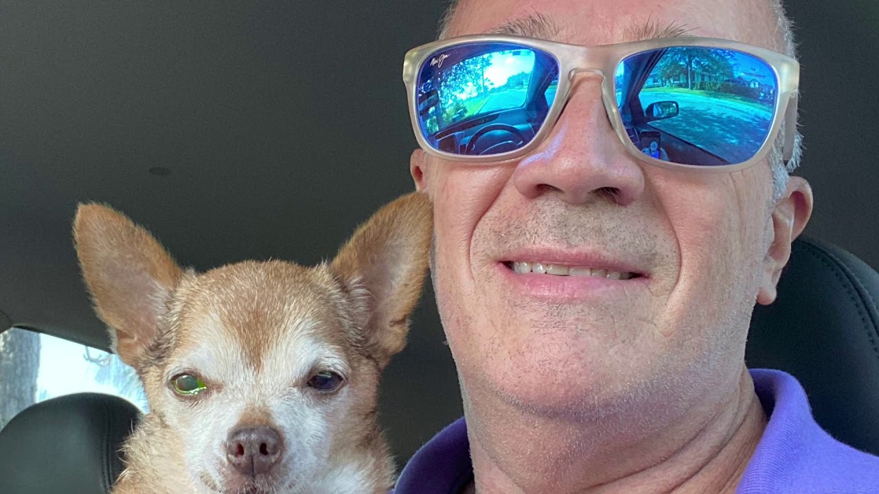 Cailín 1 year adoptaversary