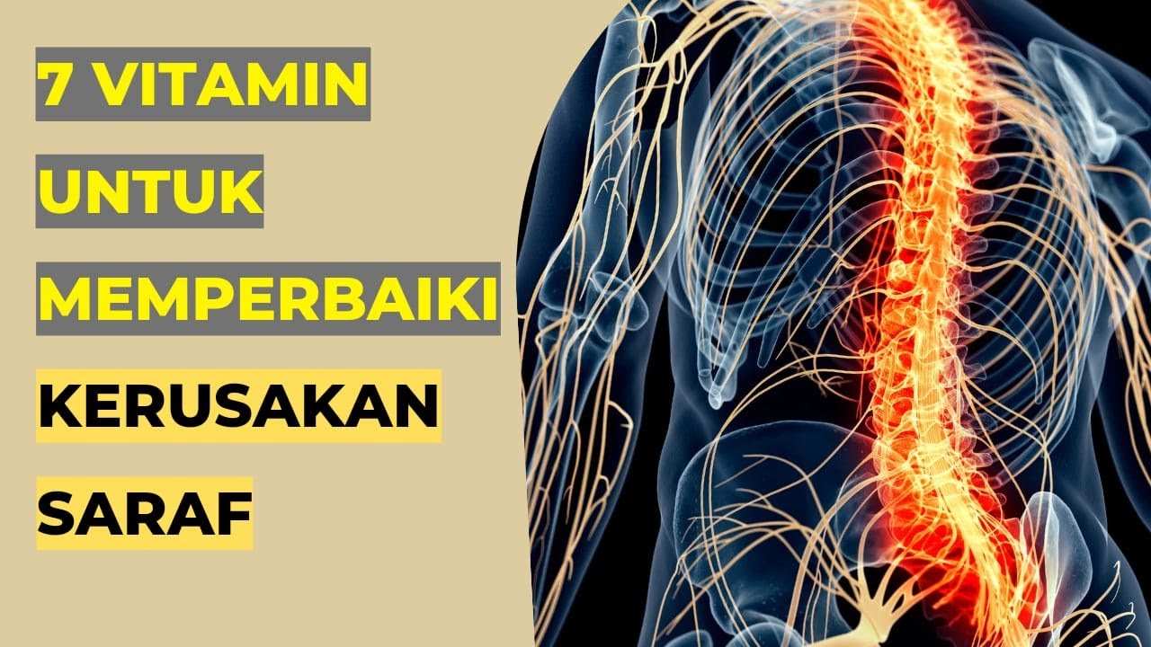 7 Vitamin Untuk Memperbaiki Kerusakan Saraf YouTube