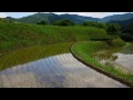 稲渕の棚田（奈良・明日香村）