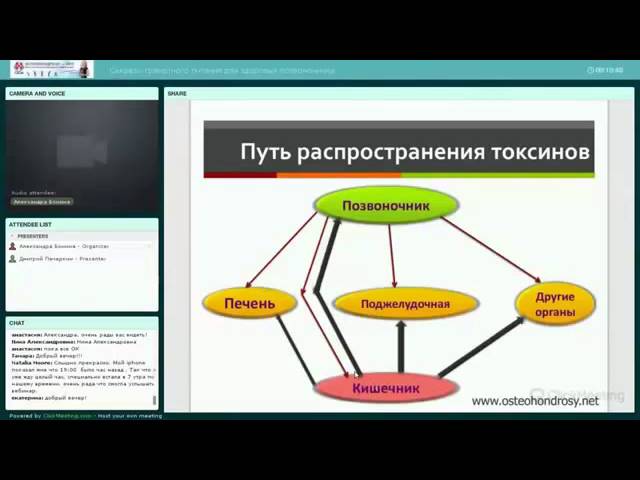 Правильное питание при остеохондрозе! Почему питание важно для здоровья