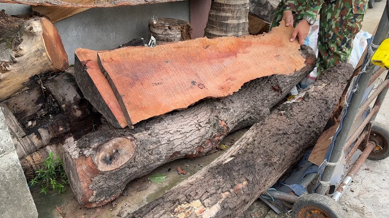 See How A Young Man Used A Bizarre Tree Trunk To Design A Beautiful Coffee Table Masterpiece