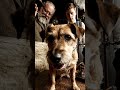 1897: Bell सुनकर भी Saliva? Pavlov Experiment