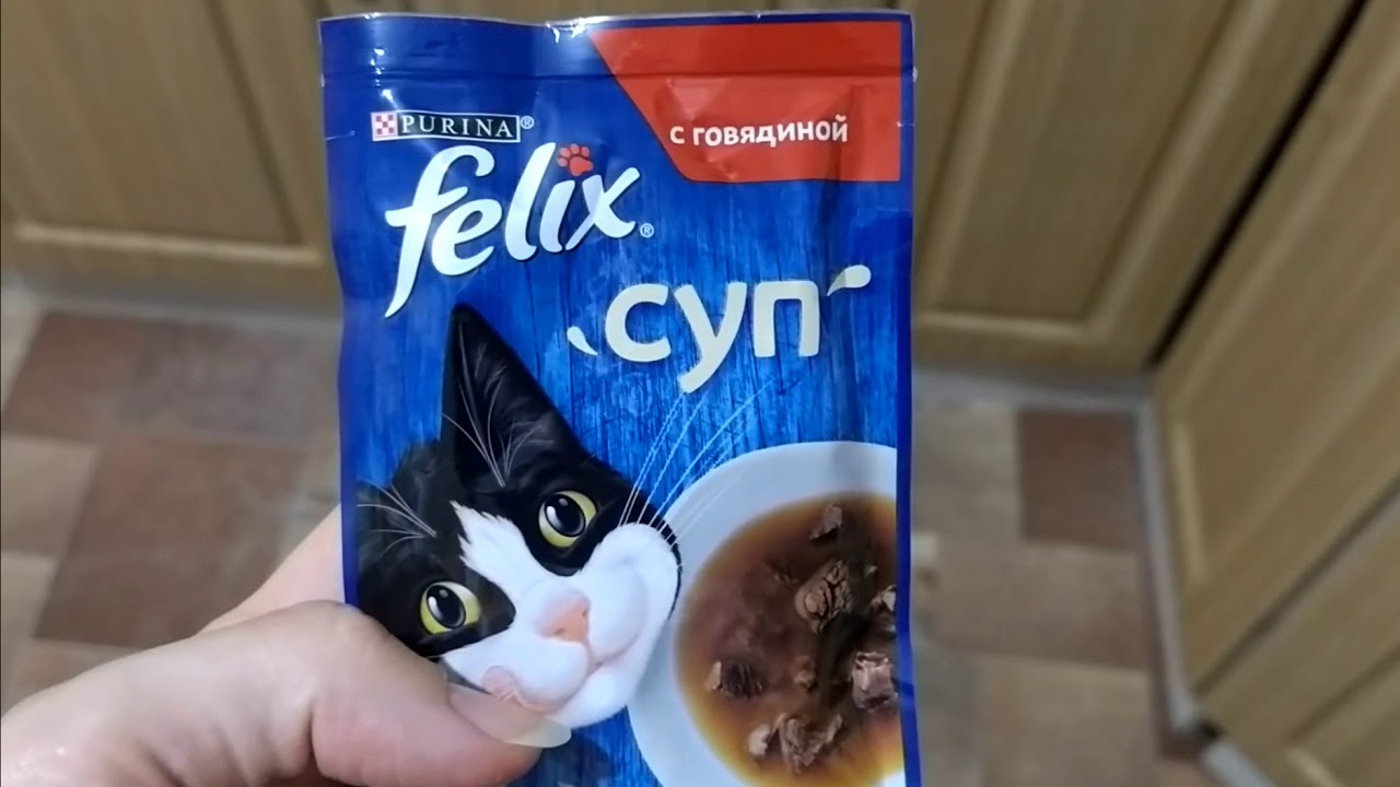 ДОМИК ДЛЯ МАРУСИ, ФЕЛИКС СУП, ИГРУШКИ ДЛЯ КОШКИ, РОБОТ ПЫЛЕСОС ХОККЕИСТ ...