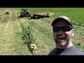 The Farming way of life..Making Hay Video Series: Mowing day, equipment details and more!