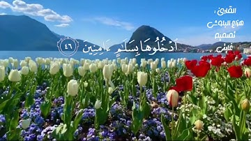 قران كريم بصوت هزاع البلوشي // اجمل حالات واتس اب دينية // تلاوة خاشعة 🌹💕