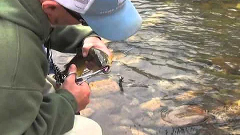 Catch Your Memories ~ Fly Fishing II