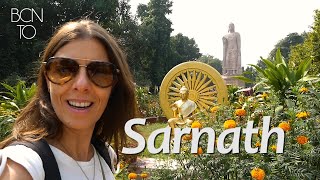 Sarnath, donde Buda dió su sermón - INDIA 5