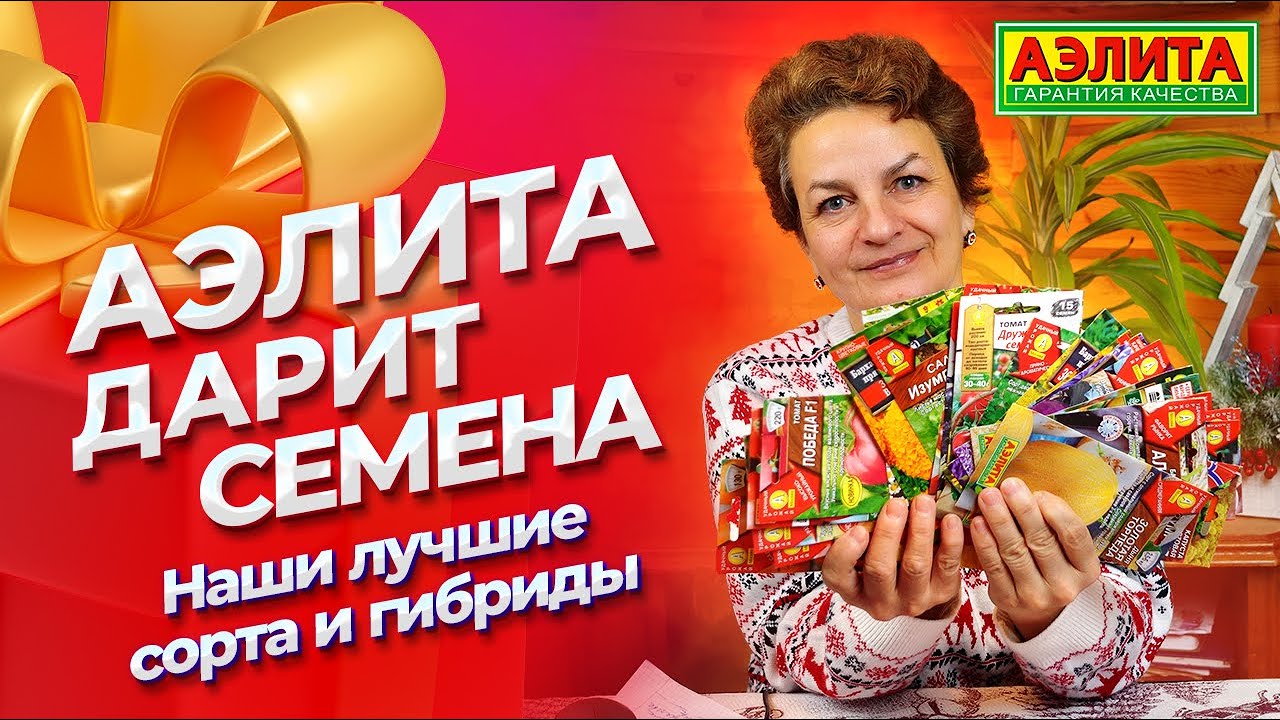 АЭЛИТА ДАРИТ СЕМЕНА! Награждаем активных садоводов 2022 года! - YouTube