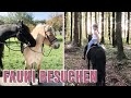 Wir besuchen fauni  niki  pilgrim auf reisen  vlog 27  pilsali