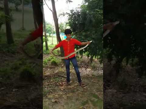 camera iphone 8 plus apk Rat snake catching n realised after checking