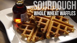 Whole Wheat Sourdough Waffles(통밀 사워도우 와플)｜Sourdough Discard RecipeASMR baking