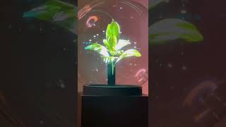 in Las Vegas , USA.  #touristattractions