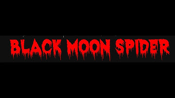 BMS LIVE! MIRKWOOD, Arlington, WA 10/10/2025