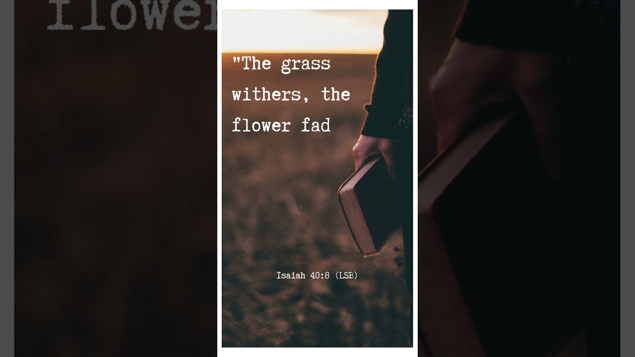 Everything Fades But THIS Stands Forever Isaiah 40 8 LSB Faith Godsword