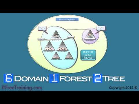 1 4 Active Directory Forest and Trees