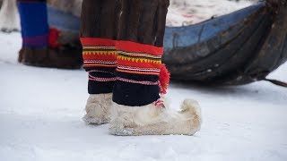 Laponsko v zimě 2017