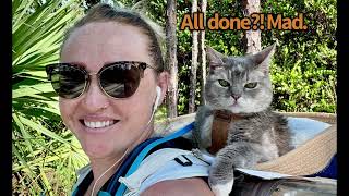 Come with us for Billi’s adventure! My 15 year old cat loves nature walks | BilliSpeaks