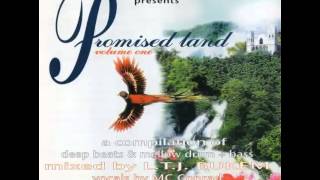 LTJ Bukem & MC Conrad - Promised Land Vol.1