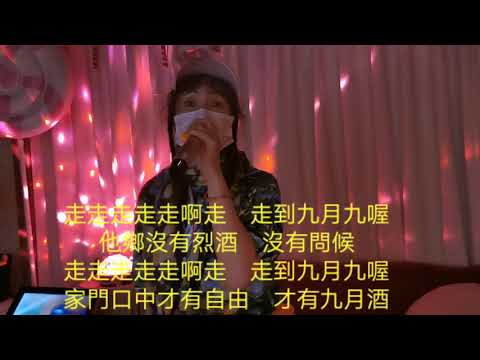 九月九的酒，高紅玫