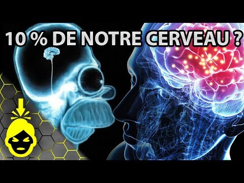 Vidéo: 9 Choses Intéressantes Que Nous Ne Savons Pas Sur Notre Propre Cerveau - Vue Alternative
