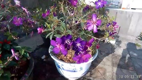 SOOCOO C30 Action Camera Test