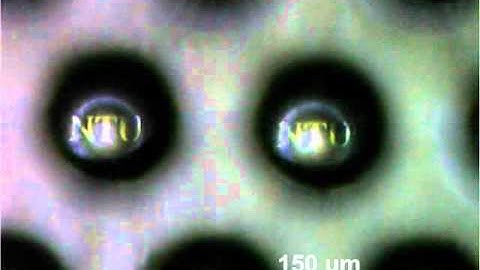 2-D microlens array atop PMMA_B