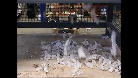 ITS850X550E vs Tissure rolls   30mm blades one hook