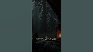 ﴿ومن آياته يريكم البرق خوفا وطمعا ﴾ [الروم: ٢٤] #قران #quran