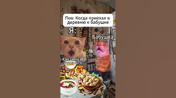 POV Когда приехал в деревню к бабушке Shorts 
