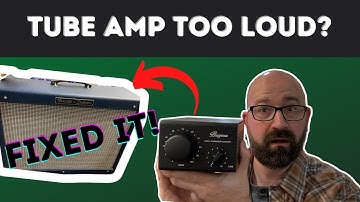 Burgera PS1 Amp Attenuator