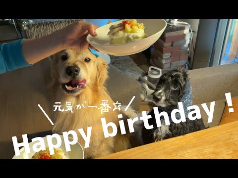 4歳のお誕生日も無事騒々しく迎えられました