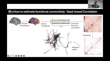 Summer Course 2024: 18 Connectivity and Dynamic Connectivity by Javier Gonzalez-Castillo