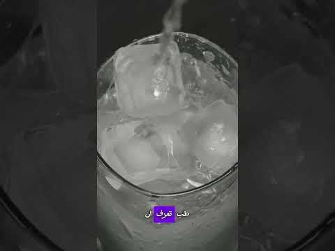 الكلاب ممكن تموت من الشوكولاته حقائق علمية مذهلة اكسبلور